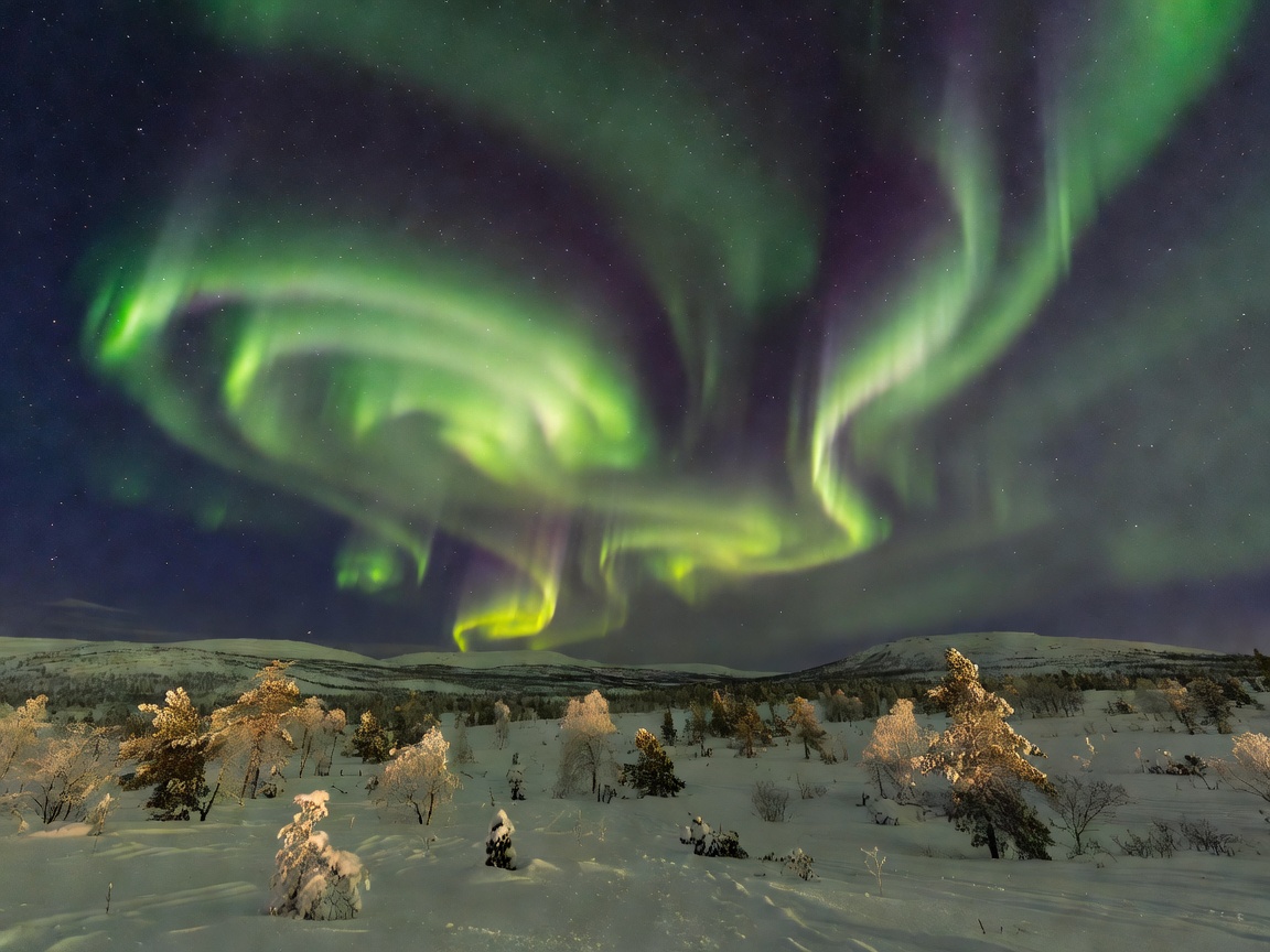 Spectacular green and gold Northern Lights dancing in Lapland night sky